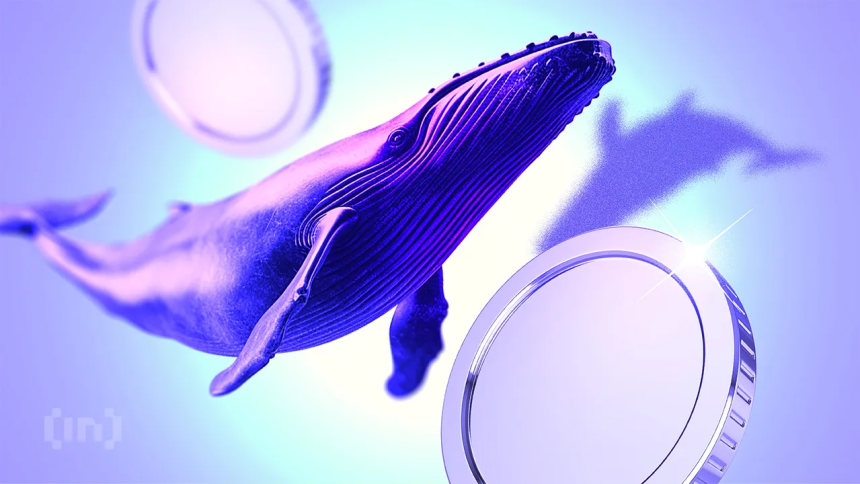 PUMP Whales In Action