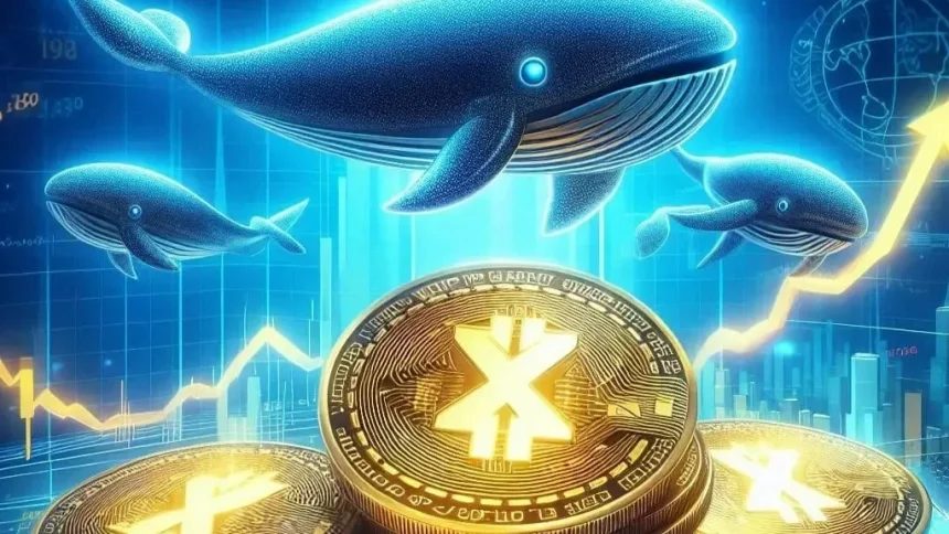 XRP whales