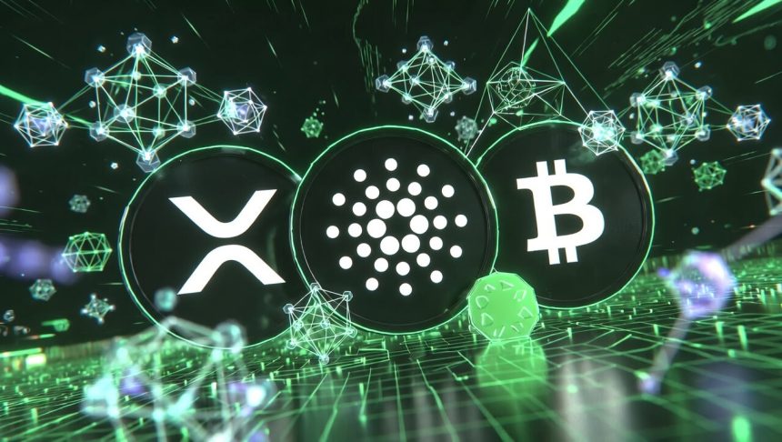 XRP, Cardano, or Bitcoin Hyper Which Is the Best Altcoin to Buy This Spring?
