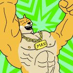 maxi doge best crypto to buy green dream paxos dogecoin