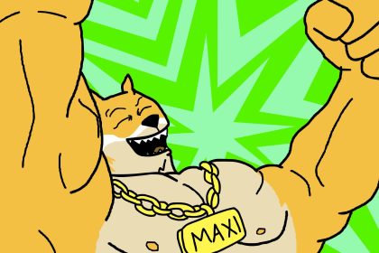 maxi doge best crypto to buy green dream paxos dogecoin