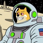 best crypto to buy maxi doge astronaut