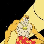 Maxi Next Crypto to Explode